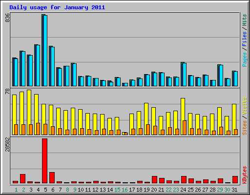 Daily usage for January 2011