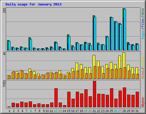 Daily usage for January 2013