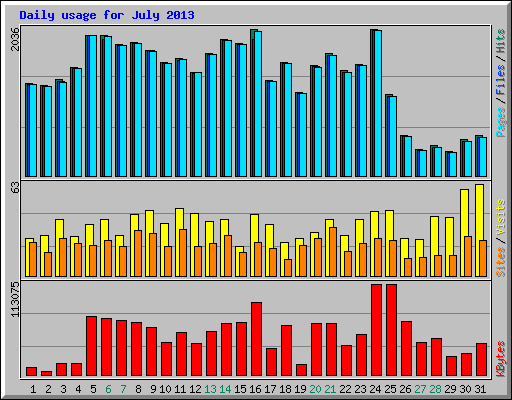 Daily usage for July 2013