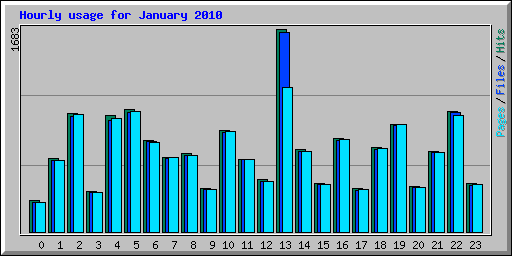 Hourly usage for January 2010