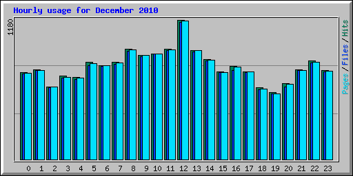 Hourly usage for December 2010