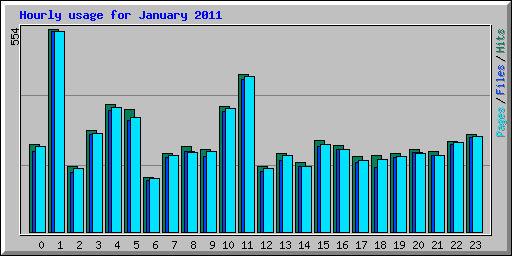 Hourly usage for January 2011