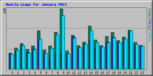 Hourly usage for January 2013