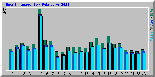 Hourly usage for February 2013