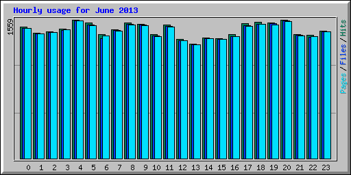 Hourly usage for June 2013