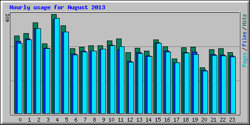 Hourly usage for August 2013